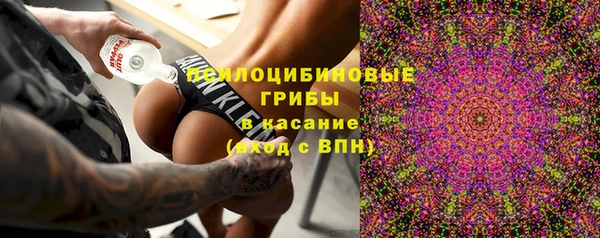 герыч Бронницы